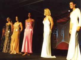 Miss Massachusetts USA 2003 top five